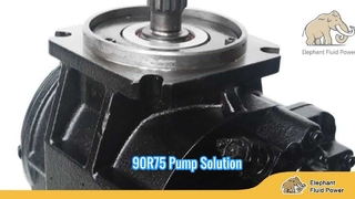 자우어 댄포스 90R75