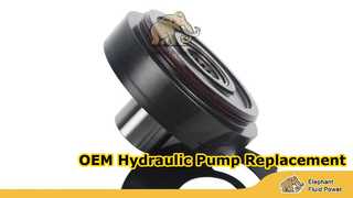 A10VG45-F02 원형 T13 大象45秒版1