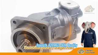 Oem 품질 A2FM63 Rexroth 시리즈 6 축 피스톤 고정 모터 공장 가격 선적 빠른 쇼케이스